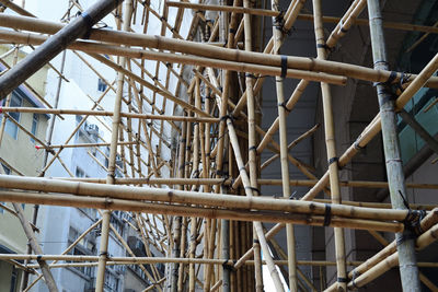 Low angle view of bamboo structure