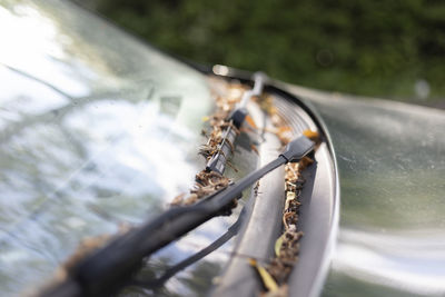 High angle view of dead plant in car