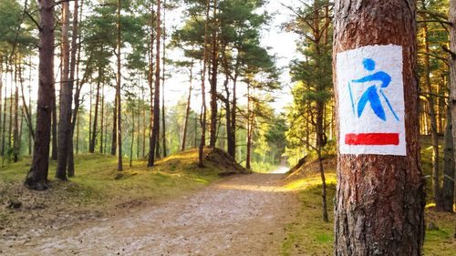 Information sign on tree trunk at forest