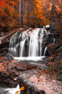 View of waterfall in forest