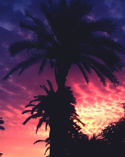 Low angle view of silhouette palm trees against sky at sunset