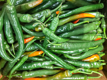Raw green chili peppers. healthy fresh food background.
