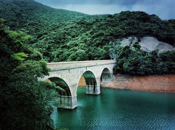 Reflection of trees in river