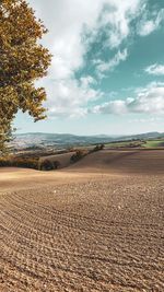 Scenic view of agricultural field against sky