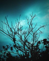 Low angle view of bare trees against sky