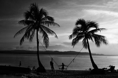 Silhouette palm trees at beach against sky