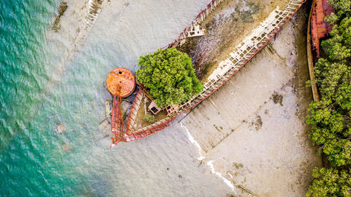 High angle view of crab on leaf