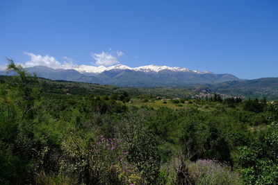 Scenic view of green landscape and mountains against sky