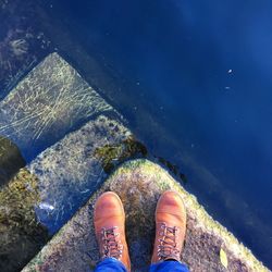 Low section of man standing in water