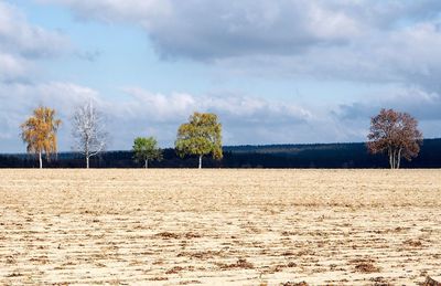 Scenic view of field against sky