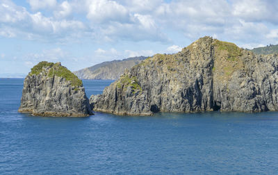 Coastal impression at queen charlotte sound in new zealand