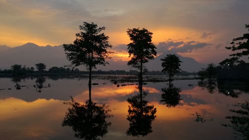 Silhouette trees by lake against sky during sunset