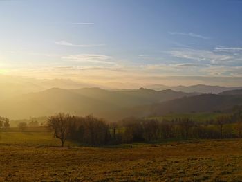 Scenic view of field against sky during sunset