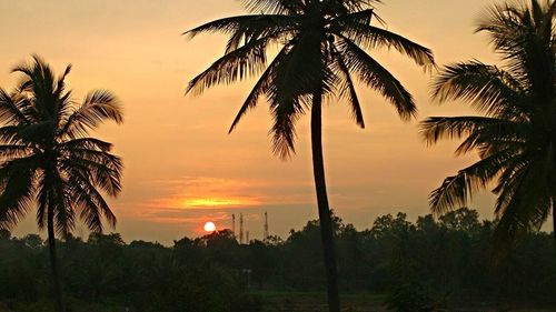 Silhouette palm trees against sky during sunset