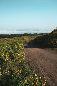 Scenic view of landscape against sky