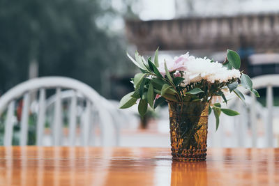 Close-up of white flowering plant in vase on table