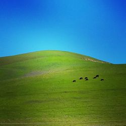 Scenic view of green landscape against clear blue sky