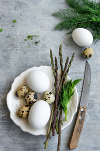 High angle view of plants on table