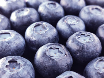 Blueberry in fruit macro photography