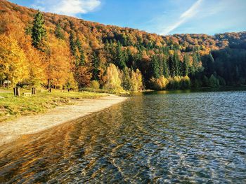 Scenic view of lake amidst trees against sky during autumn