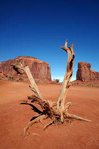 natural environment