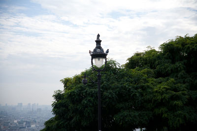 Low angle view of trees against sky