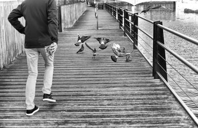 Low section of people walking on steps