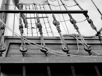 Low angle view of bird perching on rope against sky