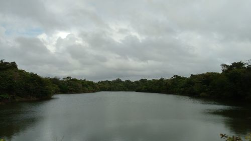 Scenic view of river amidst trees against sky