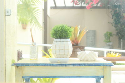 Potted plants on table at home