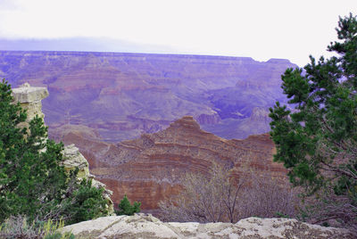 Scenic view of landscape