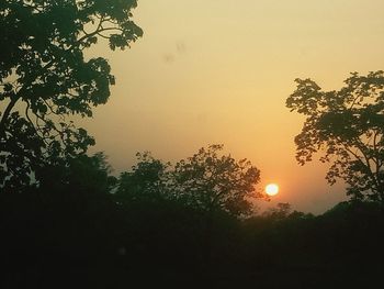 Low angle view of silhouette trees against sky during sunset