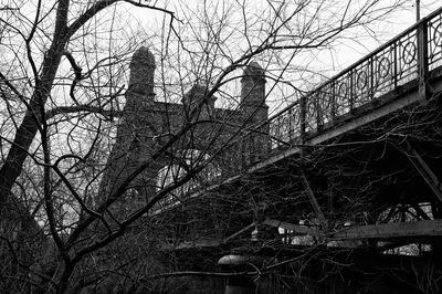 Low angle view of tree against sky