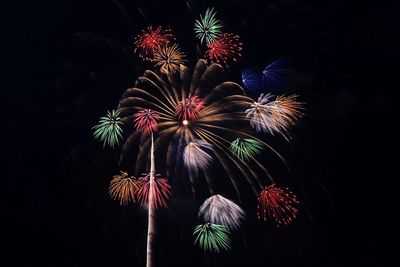 Firework display at night