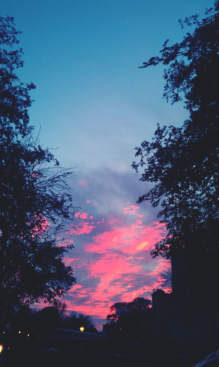 silhouette, tree, sky, low angle view, sunset, beauty in nature, scenics, dusk, nature, cloud - sky, tranquility, outdoors, growth, tranquil scene, blue, no people, cloud, idyllic, building exterior, branch