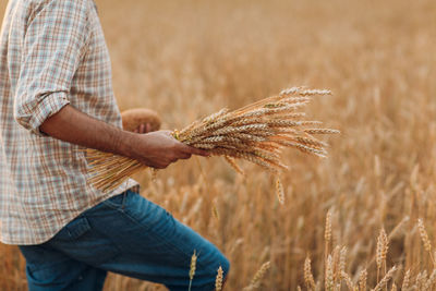 Midsection of man holding wheat growing on field