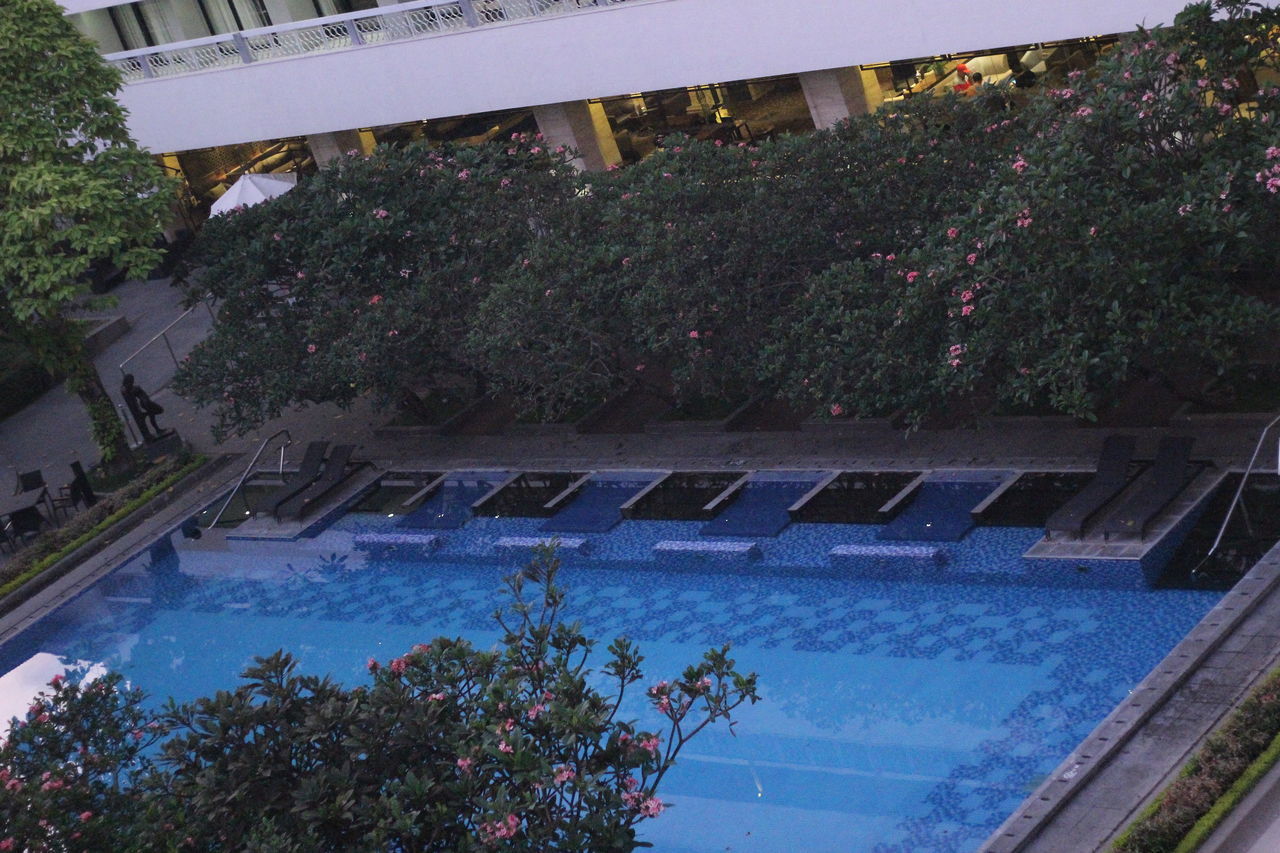 HIGH ANGLE VIEW OF SWIMMING POOL AGAINST TREES