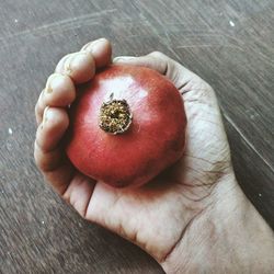 Close-up of hand holding fruit