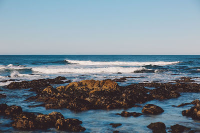 Scenic view of sea against clear sky