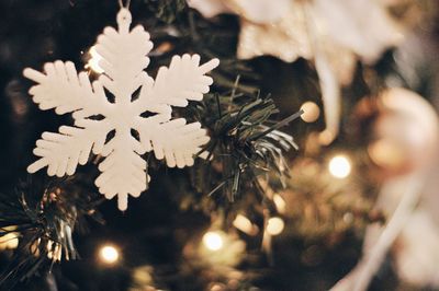 Close-up of christmas tree at night