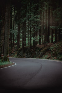 Empty road amidst trees in forest