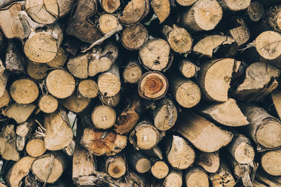 Full frame shot of logs in forest