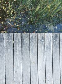 Close-up of wooden plank