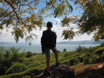 Rear view of man standing by tree against sky