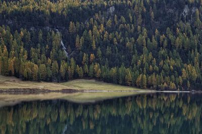 Scenic view of lake in forest, mirror effect in autumn.