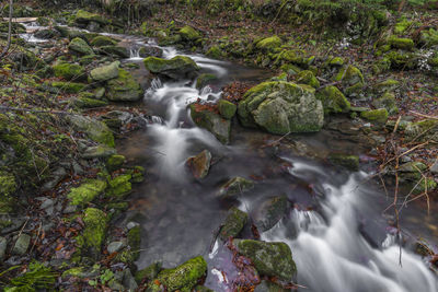 Scenic view of waterfall in forest