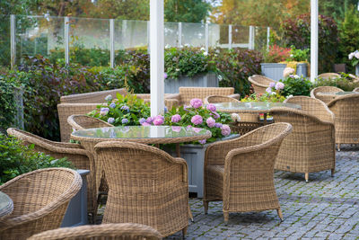 Empty outdoor cafe terrace with wicker furniture and growing flowers in pot for summer entertainment