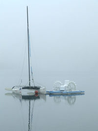 Sailboats sailing in sea against sky