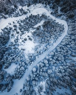 Full frame shot of snow covered trees