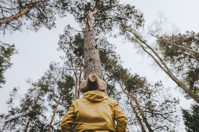 Woman looking at tall trees in forest